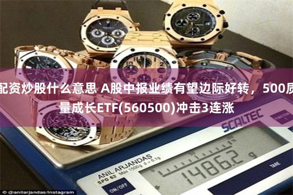 配资炒股什么意思 A股中报业绩有望边际好转，500质量成长ETF(560500)冲击3连涨