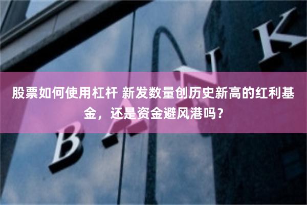 股票如何使用杠杆 新发数量创历史新高的红利基金，还是资金避风港吗？