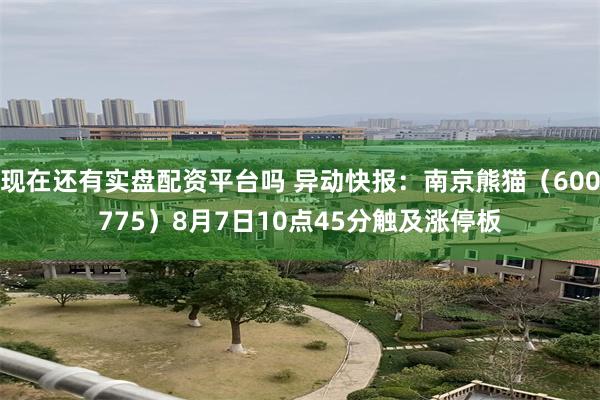 现在还有实盘配资平台吗 异动快报：南京熊猫（600775）8月7日10点45分触及涨停板