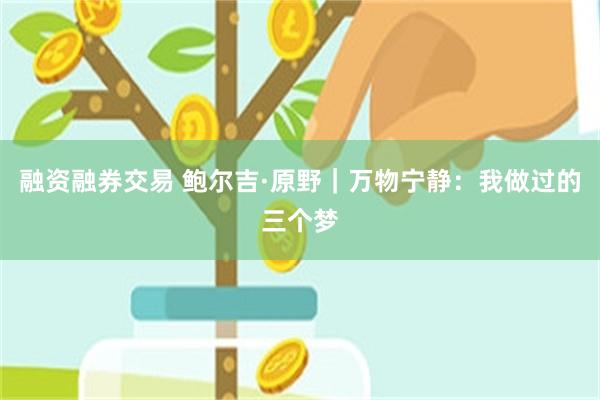 融资融券交易 鲍尔吉·原野｜万物宁静：我做过的三个梦