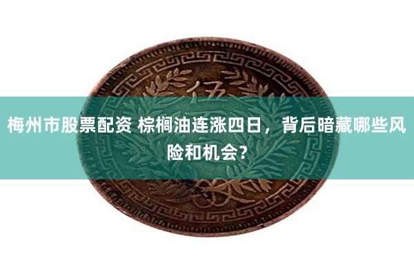 梅州市股票配资 棕榈油连涨四日，背后暗藏哪些风险和机会？