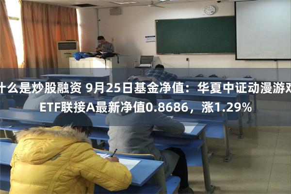 什么是炒股融资 9月25日基金净值：华夏中证动漫游戏ETF联接A最新净值0.8686，涨1.29%