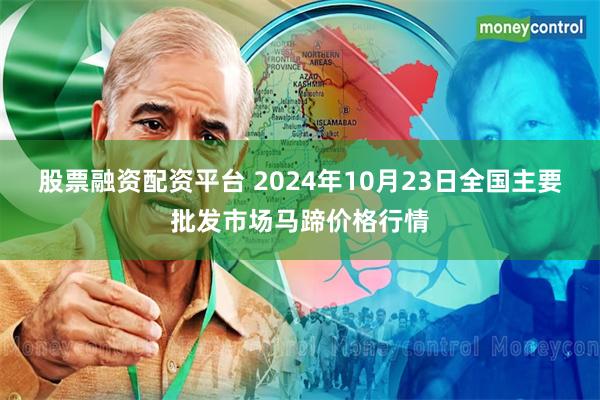 股票融资配资平台 2024年10月23日全国主要批发市场马蹄价格行情