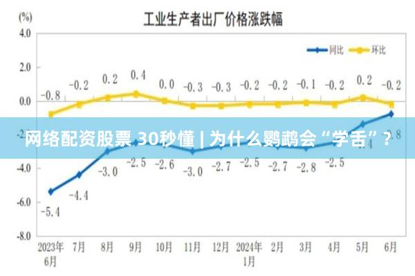 网络配资股票 30秒懂 | 为什么鹦鹉会“学舌”？