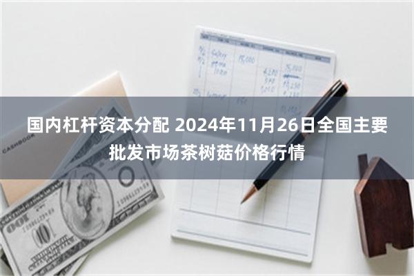 国内杠杆资本分配 2024年11月26日全国主要批发市场茶树菇价格行情