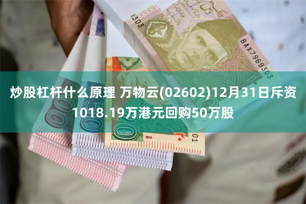 炒股杠杆什么原理 万物云(02602)12月31日斥资1018.19万港元回购50万股