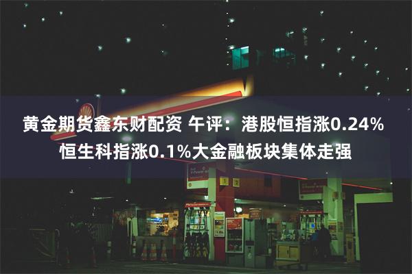 黄金期货鑫东财配资 午评：港股恒指涨0.24% 恒生科指涨0.1%大金融板块集体走强