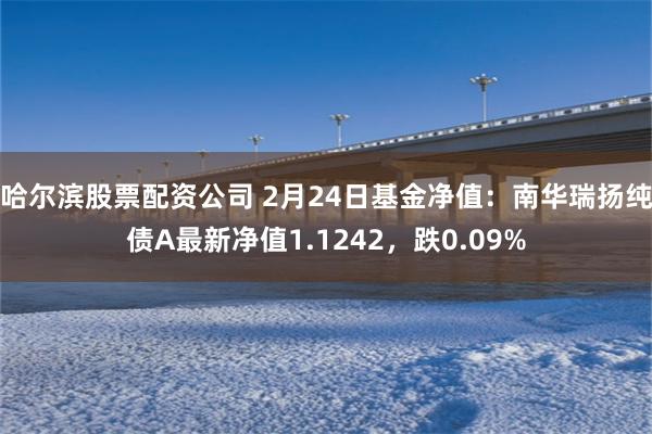 哈尔滨股票配资公司 2月24日基金净值：南华瑞扬纯债A最新净值1.1242，跌0.09%