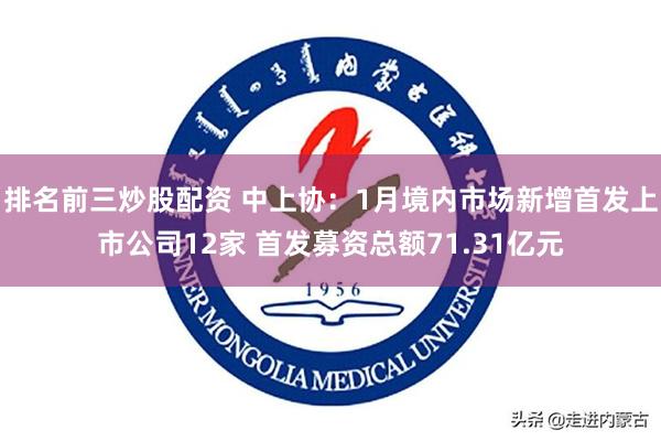 排名前三炒股配资 中上协：1月境内市场新增首发上市公司12家 首发募资总额71.31亿元