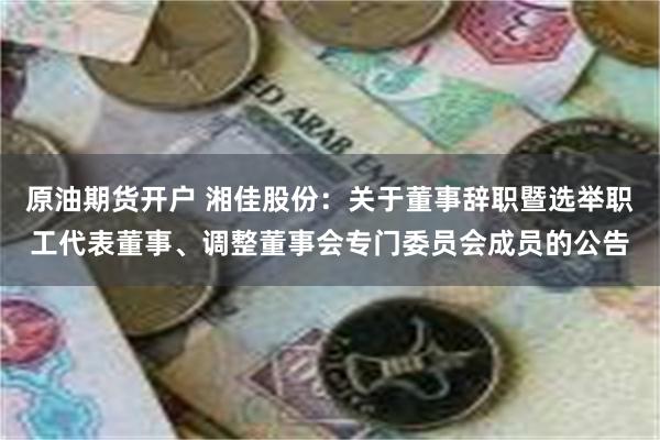 原油期货开户 湘佳股份：关于董事辞职暨选举职工代表董事、调整董事会专门委员会成员的公告