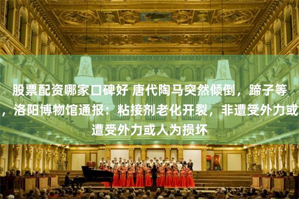 股票配资哪家口碑好 唐代陶马突然倾倒，蹄子等部位碎裂，洛阳博物馆通报：粘接剂老化开裂，非遭受外力或人为损坏