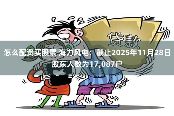 怎么配资买股票 海力风电：截止2025年11月28日股东人数为17,087户