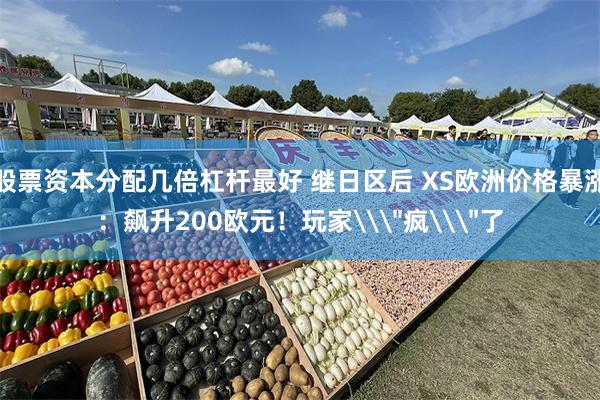 股票资本分配几倍杠杆最好 继日区后 XS欧洲价格暴涨：飙升200欧元！玩家\＂疯\＂了