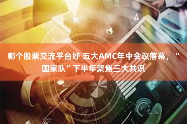 哪个股票交流平台好 五大AMC年中会议落幕，“国家队”下半年聚焦三大共识