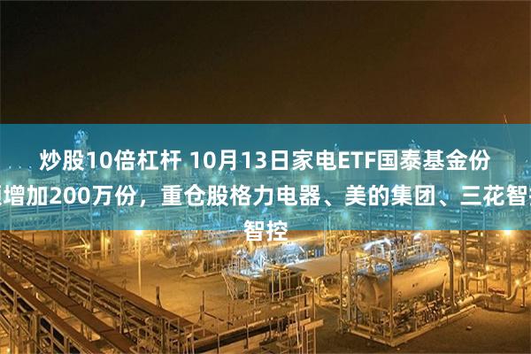 炒股10倍杠杆 10月13日家电ETF国泰基金份额增加200万份，重仓股格力电器、美的集团、三花智控